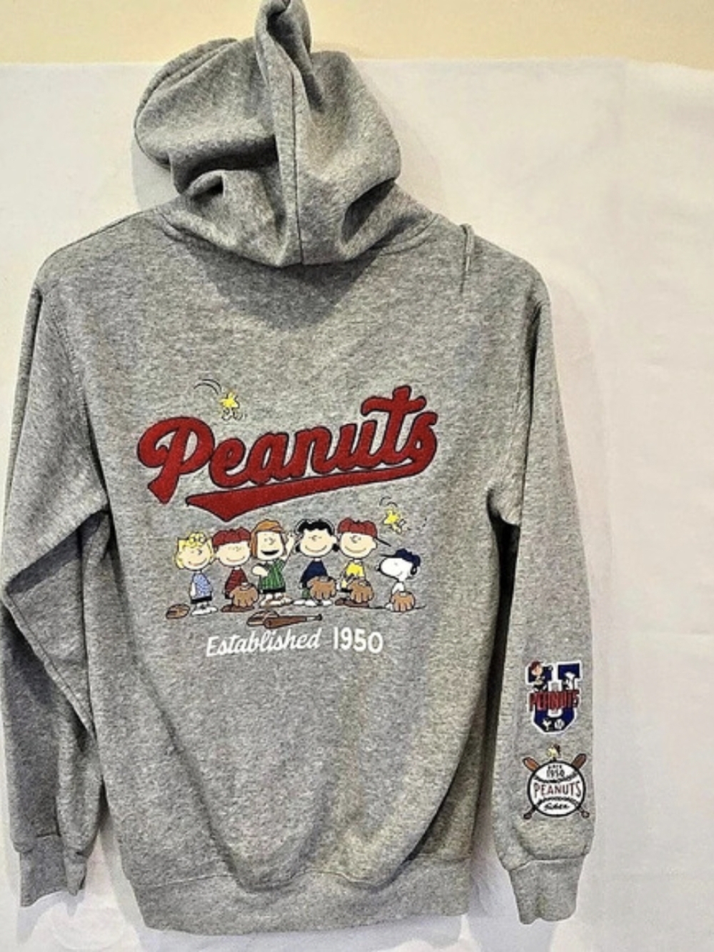 Peanuts Hoodie Graphic in Gray Size XS Like New Embroidered Sleeves And "Peanuts
